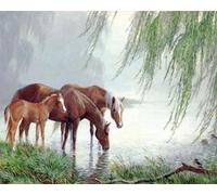 WELIWE Stamped Cross Stitch Kits for Adults 11CT Cross-Stitch Kit for Home Wall Decor DIY Embroidery Kit Needlework Crafts Pony 40x50cm