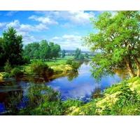WELIWE Stamped Cross Stitch Kits for Adults 11CT Cross-Stitch Kit for Home Wall Decor DIY Embroidery Kit Needlework Crafts Green Scenery 40x50 cm