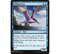 Welkin Tern