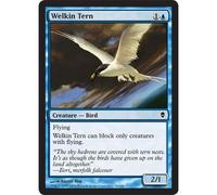 Welkin Tern (foil) | Zendikar