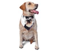 Well-Behaved Schnauzer Dog Bandana Pet Scarf Accessories for Small Medium Dogs Cats Photo Prop, Triangle Pet Bandanas Adjustable Puppy Bib Washable Dog Kerchief Puppy Neckerchief