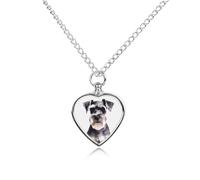 Well-behaved Schnauzer Pet Cremation Jewelry for Ashes Waterproof Urn Necklace with Filling Kit Heart Pendant Ash Necklace Memorial Keepsake Jewelry Custom Sympathy Gift for Dog Cat Human Ashes