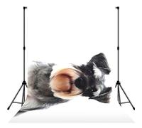 Well-Behaved Schnauzer Print Photo Studio Background 5x7ft Soft Photo Backdrop Curtain For Studio Content Creator Equipment