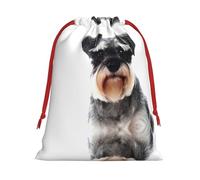 Well-Behaved Schnauzer Ultra Soft Velvet Gift Bag, Comfortable To The Touch, Reusable