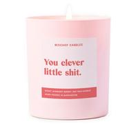 Well Done Gift Funny Well Done Gift Candle Clever Little Shit - Scent: Secret Beach Club