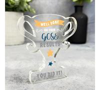 Well Done Gift GCSE Exam Results Trophy Plaque - Small Acrylic Plaque, Unique Gift, Décor