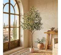 Well Home Artificial Large Realistic Indoor Decorative Plant: Artificial Olive Tree 160cm