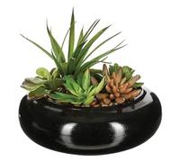WELL HOME - Composition of center formed by an assortment of plants with ceramic vase