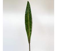 WELL HOME MOBILIARIO & DECORACIÓN Artificial Sheet Decoration 98 cm Rubber, Pilistra Blade, Hoja de