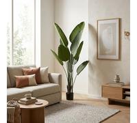 Well Home Realistic Large Decorative Artificial Plant for Indoors: Artificial Banana Palm 160cm