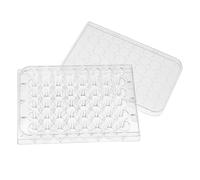 Well Plastic Cell Culture Plate with Lid for Laboratory Screening