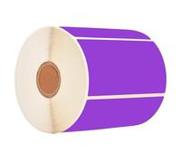 Well Tile Rectangular Purple Color Coding Label Stickers 2 x 3 Inch Color-Code Labels Christmas Adhesive Colored Rectangle Label for Office School Supplies Write-On Surface 250 Labels