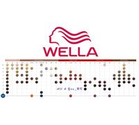 Wella Professionals Color Touch 60 ml- Please Choose Shade