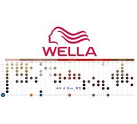 Wella Professionals Color Touch 60 ml- Please Choose Shade