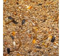 Welldales Premium Wild Bird Seed Mix Sunflower Hearts Calciworms Robin Songbird Food 500g