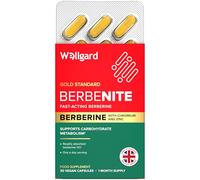 Wellgard Berbenite for Metabolic Support - Highly Bioavailable Berberine with Zinc and Chromium