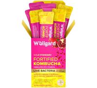 Wellgard Kombucha Drink Sticks with Apple Cider Vinegar & Pomegranate, Easy-to-Use Vegan Kombucha Sachets, Daily Fermented Tea Drink, 20 Servings