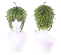 WELLHY Anime Cosplay Wig Jobless Reincarnation Wig Short Green Hair for Sylphiet Greyrat Role Play Halloween Party Wigs with Wig Cap Coser Wig