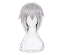 WELLHY Anime Cosplay Wigs COS Anime Touken Ranbu Tsurumaru Kuninaga Cosplay Wig Silver-White Long Hair Tail KEEBON Coser Wig