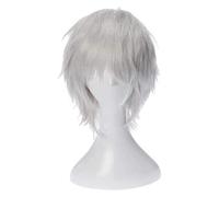 WELLHY Anime Cosplay Wigs Gintama Fake Hair Sakata Gintoki Short Hair Anti-Alice Silver White Universal COS Wig KEEBON Coser Wig