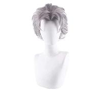 WELLHY Anime 's Bizarre Adventure Koichi Hirose Wig Cosplay Wig Role Play Gray Color 35cm KEEBON Coser Wig