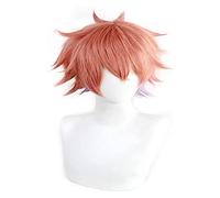 WELLHY Anime Twisted-Wonderland Cosplay Wig Men Short Hair for Ace Trappola Role Play Halloween Wigs with Wig Cap Coser Wig
