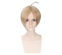 WELLHY Cosplay Wig Anime APH Hetalia Axis Powers America Alfred F Jones Wig Cosplay Costume Men Short Synthetic Hair Halloween Party Wigs for Coser