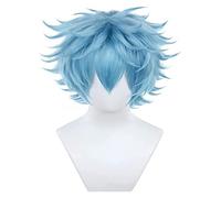 WELLHY Cosplay Wig Anime Cosplay Costume Wig Tokyo Revengers Wig Souya Kawata Wig Short Blue Hair with Free Wig Cap for Halloween Party Carnival Nightlife Concerts Weddings for Coser