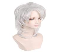 WELLHY Cosplay Wig Anime Cosplay Wig Demon Slayer Wig Rui Wig Silver White Fluffy Wigs with Free Wig Cap for Halloween Party Carnival Nightlife Concerts Weddings for Coser