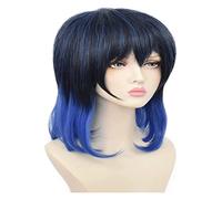 WELLHY Cosplay Wig Anime Cosplay Wig Demon Slayer Wigs Hashibira inosuke Wigs for Halloween Heat Resistant Synthetic Hair Wig No No Shedding for Coser
