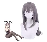 WELLHY Cosplay Wig Anime Cosplay Wig Sakurajima Mai Gray Long Hair Comic-Con Christmas Carnival Halloween Party Daily Life Men and Women Fashion Wig for Coser