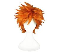 WELLHY Cosplay Wig Anime Haikyuu!! ! Hinata Syouyou Cosplay Wig Short Orange Curly Heat Resistant Synthetic Hair Wigs + Wig Cap for Coser
