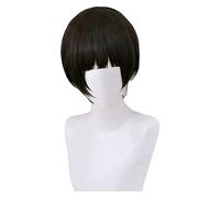 WELLHY Cosplay Wig Anime Mens Wigs Short Wigs for Goshiki Tsutomu Cosplay Wigs for Costume Chucky Cute Fashion Synthetic Wigs for Party Cosplay Halloween FLYAND for Coser