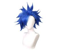 WELLHY Cosplay Wig Anime SK∞ Shindo Ainosuke Cosplay Wig ADAM S Blue Short Fluffy Synthetic Hair Heat Resistant SK8 The SK Eight + Wig Cap for Coser