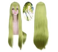 WELLHY Cosplay Wig Fate/Grand Order Cosplay Lancer Enkidu 100cm Green Long Synthetic Hair Cosplay Wigs Hair Grand Women Halloween Party Play Wigs for Coser