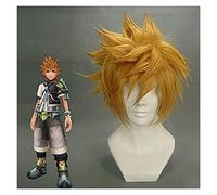 WELLHY Cosplay Wig FLYAND Kingdom Hearts Roxas Wig Ventus Cosplay Wig 30Cm Short Straight Synthetic Hair Man Game Anime Costume Party Wig Gift Golden for Coser