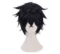 WELLHY Cosplay Wig FLYAND The Rising of The Shield Hero Naofumi Iwatani Black Short Wig Heat Resistant Hair Cosplay Costume Wigs + Free Wig Cap for Coser