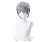 WELLHY Cosplay Wig Furutsu Basuketto Fruits Basket Souma Cosplay Wig for Men Halloween Carnival Party Hair Heat Resistant Synthetic Hair for Coser