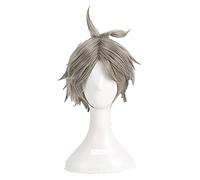 WELLHY Cosplay Wig Haikyuu!! Volleyball Koushi Sugawara Cosplay Wigs Short Beige Gray Heat Resistant Synthetic Hair Wig + Wig Cap for Coser