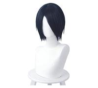 WELLHY Cosplay Wig Kaguya-sama Love is War Yuu Ishigami Cosplay Wig Short Blue Straight Cosplay Wigs Heat Resistant Synthetic Hair for Coser
