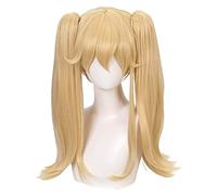 WELLHY Cosplay Wig Kakegurui - Compulsive Gambler Anime Mary Saotome Cosplay Wig Cosplay Costume Accessories Anime Performance Women Cosplay Wigs FLYAND for Coser