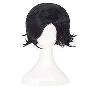 WELLHY Cosplay Wig Katekyo Hitman Reborn! Lambo Luka Brand Daes Cosplay Wigs Short Black Heat Resistant Synthetic Hair Wig + Wig Cap for Coser