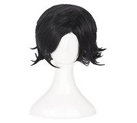 WELLHY Cosplay Wig Katekyo Hitman Reborn! Lambo Luka Brand Daes Cosplay Wigs Short Black Heat Resistant Synthetic Hair Wig + Wig Cap for Coser
