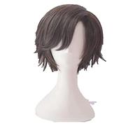 WELLHY Cosplay Wig Mystic Messenger Cosplay Wigs Jumin Han Wig Short Dark Brown Heat Resistant Synthetic Hair Cosplay Wig + Wig Cap for Coser