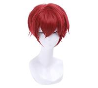 WELLHY Cosplay Wig Ranma 1/2 Ranma Saotome Cosplay Wigs 25cm Red Burgundy Short Synthetic Hair Perucas Unisex Cosplay Wig for Coser