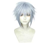 WELLHY Cosplay Wig Riku Cosplay Wig Game Kingdom Hearts 3 Gray Mixed Heat Resistant Synthetic Hair Cosplay Costume Wigs + Wig Cap for Coser