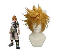 WELLHY KEEBON Kingdom Hearts Roxas Wig Ventus Cosplay Wig 30cm Short Straight Synthetic Hair Man Game Anime Costume Party Wig Gift Golden Coser Wig
