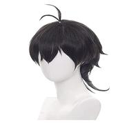 WELLHY SK8 The Miya Chinen Cosplay Wig Anime Wig(Black) Coser Wig