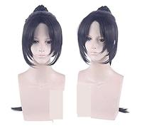 WELLHY Wig for Halloween Fashion Christmas Party Dress Up Wig Cosplay Wig King Li Xiaoyao Black Beauty Sharp Whip Anime Wig Coser Wig