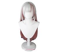 WELLHY Wig for Youtuber Hoive VTuber Nakiri Ayame Silver Cosplay Wig Heat Resistant Synthetic Cosplay Hair Nakiri Ayame OneSize WIGONLY Coser Wig (Color : WIGONLY) (Color : Wigonly)